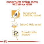 Royal Canin German Shepherd Adult granule pro dospělého německého ovčáka 11 Kg