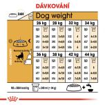Royal Canin German Shepherd Adult granule pro dospělého německého ovčáka 11 Kg
