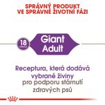 Royal Canin Giant Adult granule pro dospělé obří psy 15 Kg