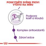 Royal Canin Giant Adult granule pro dospělé obří psy 15 Kg