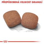 Royal Canin Giant Adult granule pro dospělé obří psy 15 Kg
