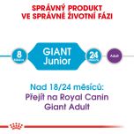 Royal Canin Giant Junior granule pro obří štěňata 15 Kg