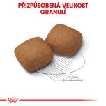 Royal Canin Giant Junior granule pro obří štěňata 15 Kg