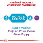 Royal Canin Giant Starter Mother&Babydog granule pro březí nebo kojící feny a štěňata obřích plemen 15 Kg