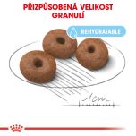 Royal Canin Giant Starter Mother&Babydog granule pro březí nebo kojící feny a štěňata obřích plemen 15 Kg