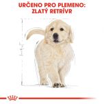 Royal Canin Golden Retriever Puppy granule pro štěně zlatého retrívra 12 Kg
