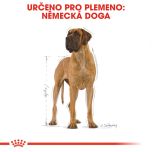 Royal Canin Great Dane Adult granule pro německou dogu 12 Kg