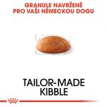 Royal Canin Great Dane Adult granule pro německou dogu 12 Kg