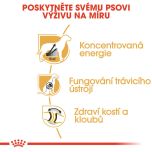 Royal Canin Great Dane Adult granule pro německou dogu 12 Kg
