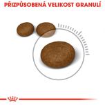Royal Canin Hair and Skin Care granule pro kočky pro zdravou srst a kůži 4 Kg