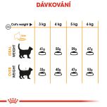 Royal Canin Hair and Skin Care granule pro kočky pro zdravou srst a kůži 4 Kg