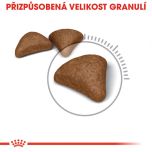 Royal Canin Hairball Care granule pro kočky pro správné vylučování 400 g
