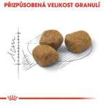 Royal Canin Indoor 7+ granule pro stárnoucí kočky žijící uvnitř 1.5 Kg