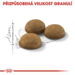 Royal Canin Indoor Longhair granule pro kočky žijící uvnitř a zdravou srst 2 Kg