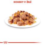 Royal Canin Intense Beauty Jelly kapsička pro kočky v želé 85 g
