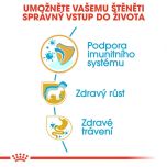 Royal Canin Jack Russell Puppy granule pro štěně jack russell teriéra 1.5 Kg