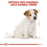 Royal Canin Jack Russell Puppy granule pro štěně jack russell teriéra 1.5 Kg