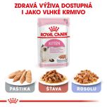 Royal Canin Kitten granule pro koťata 400 g