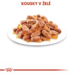 Royal Canin Kitten Instinctive Jelly kapsička pro koťata v želé 85 g