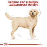 Royal Canin Labrador Adult granule pro dospělého labradora 12 Kg