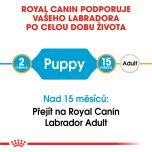 Royal Canin Labrador Puppy granule pro štěně labradora 3 Kg