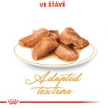 Royal Canin Maine Coon Loaf kapsička s paštikou pro mainské mývalí kočky 85 g