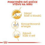 Royal Canin Maine Coon Loaf kapsička s paštikou pro mainské mývalí kočky 85 g