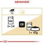 Royal Canin Maine Coon Loaf kapsička s paštikou pro mainské mývalí kočky 85 g