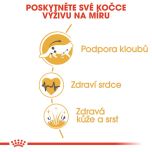 Royal Canin Maine Coon Adult granule pro mainské mývalí kočky 400 g