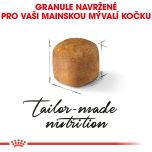 Royal Canin Maine Coon Kitten granule pro mainská mývalí koťata 400 g