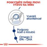 Royal Canin Maxi Adult granule pro dospělé velké psy 15 Kg
