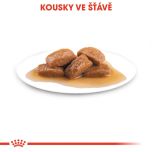 Royal Canin Maxi Adult kapsička pro dospělé velké psy 140 g