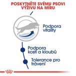 Royal Canin Maxi Adult 5+ granule pro dospělé stárnoucí velké psy 15 Kg