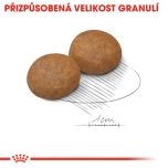 Royal Canin Maxi Adult 5+ granule pro dospělé stárnoucí velké psy 15 Kg