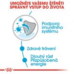 Royal Canin Maxi Puppy kapsička pro velká štěňata 140 g