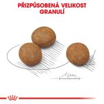 Royal Canin Maxi Puppy granule pro velká štěňata 15 Kg