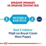 Royal Canin Maxi Starter Mother&Babydog granule pro březí nebo kojící feny a štěňata 15 Kg