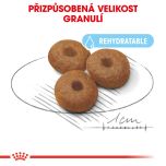 Royal Canin Maxi Starter Mother&Babydog granule pro březí nebo kojící feny a štěňata 15 Kg