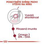 Royal Canin Medium Adult kapsička pro dospělé střední psy 140 g