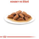 Royal Canin Medium Adult kapsička pro dospělé střední psy 140 g