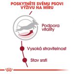Royal Canin Medium Adult 7+ granule pro dospělé stárnoucí střední psy 4 Kg