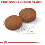 Royal Canin Medium Adult 7+ granule pro dospělé stárnoucí střední psy 4 Kg