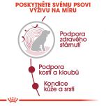 Royal Canin Medium Ageing kapsička pro staré střední psy 140 g