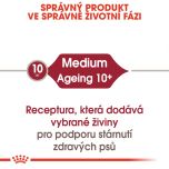 Royal Canin Medium Ageing kapsička pro staré střední psy 140 g