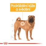 Royal Canin Medium Dermacomfort granule pro střední psy s problémy s kůží 3 Kg