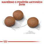 Royal Canin Medium Digestive Care granule pro střední psy s citlivým trávením 3 Kg