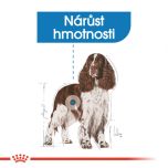 Royal Canin Medium Light Weight Care dietní granule pro střední psy 3 Kg