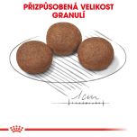 Royal Canin Medium Puppy granule pro střední štěňata 4 Kg