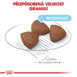 Royal Canin Medium Starter Mother&Babydog granule pro březí nebo kojící feny a štěňata 12 Kg