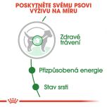 Royal Canin Mini Adult kapsička pro dospělé malé psy 85 g